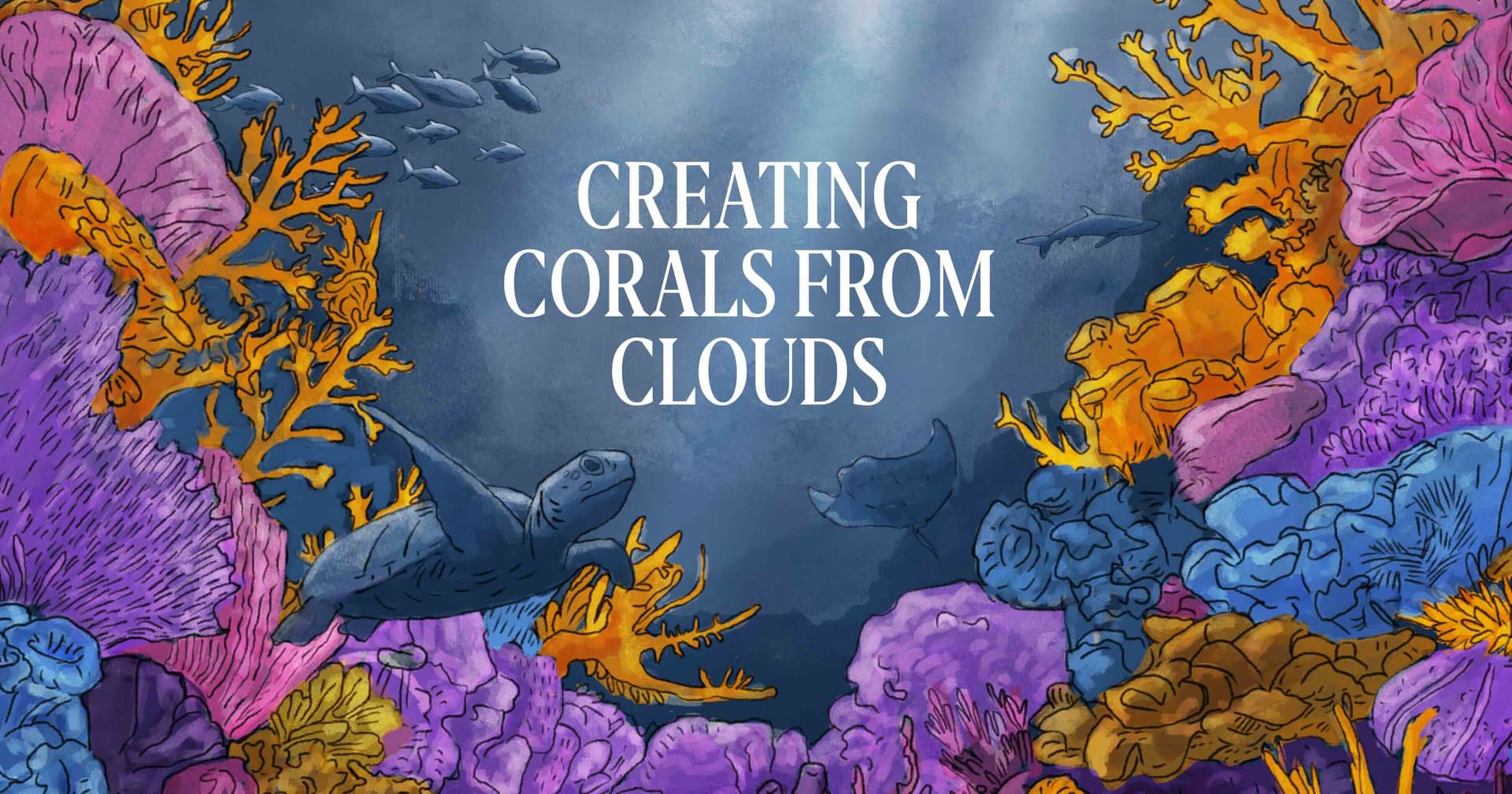 What is Enhanced Rock Weathering?