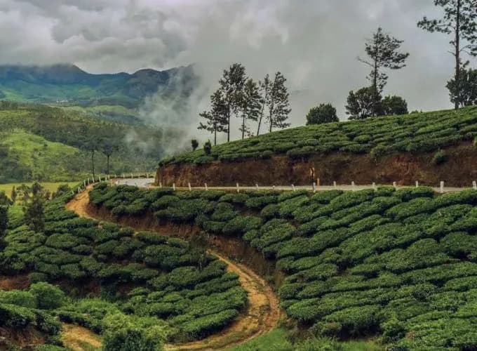 Mitsubishi Corporation And Alt Carbon To Scale ERW Carbon Removal In South Asia