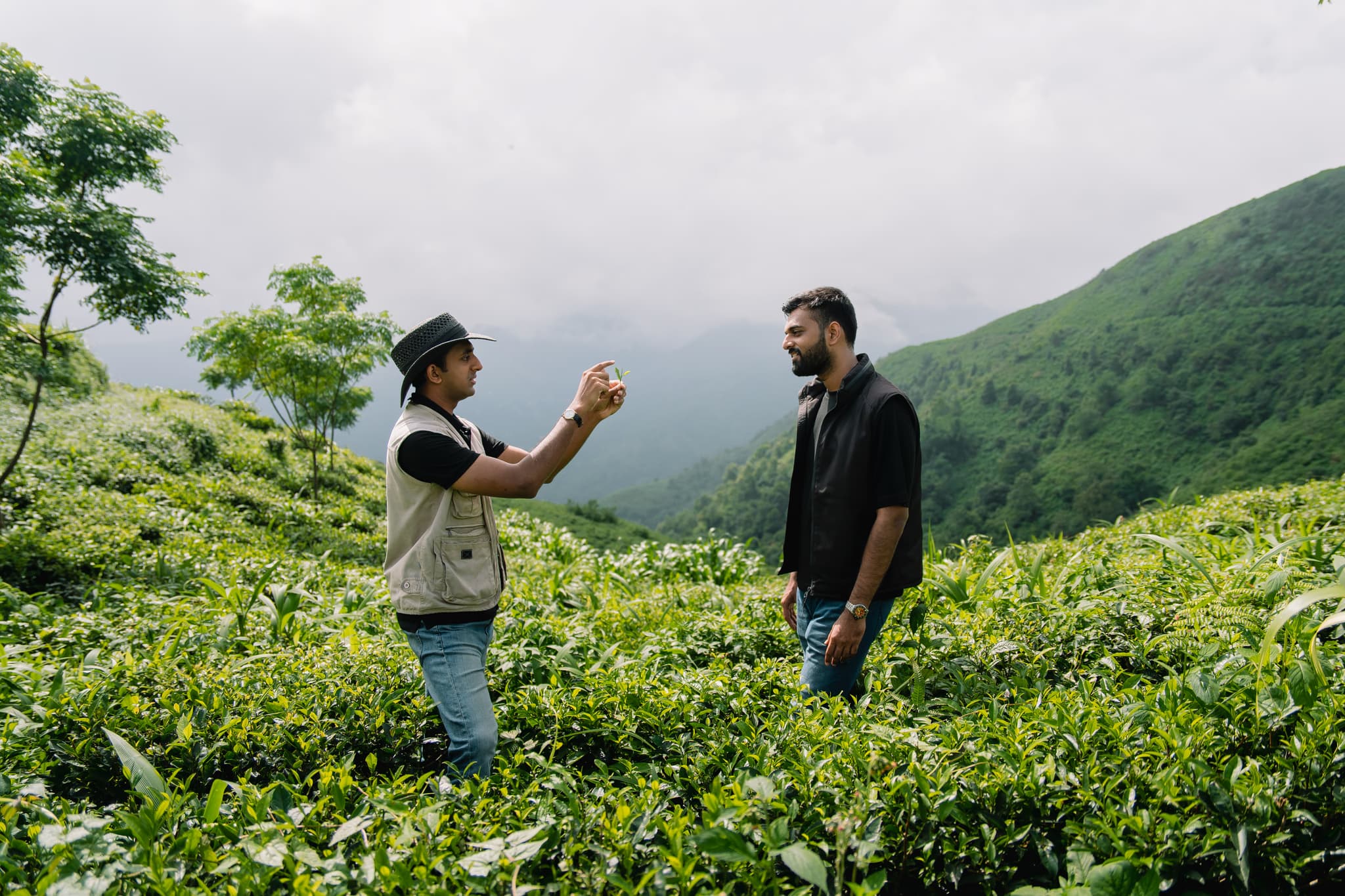 Investors pile into rocks to absorb carbon emissions